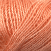 423 Light Orange